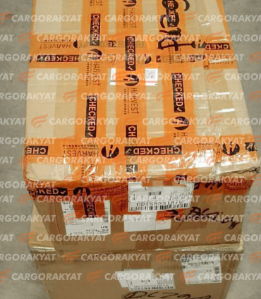 Untitled design (32)